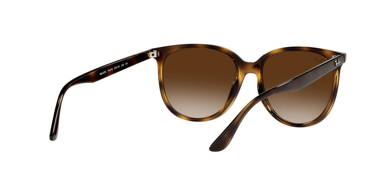 Gafas de Sol Ray-Ban 0RB4378 Mujer Color Havana