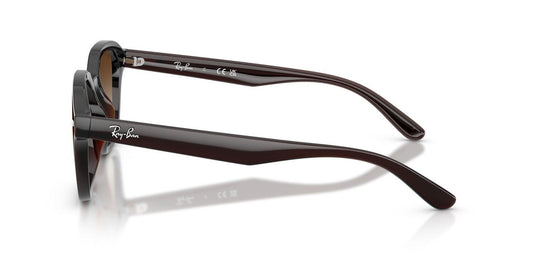 Gafas de Sol Ray-Ban RB4458D Unisex Color Café