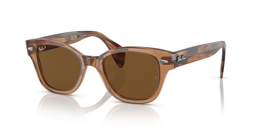 Gafas De Sol Ray-Ban 0RB0880S Unisex Color Café