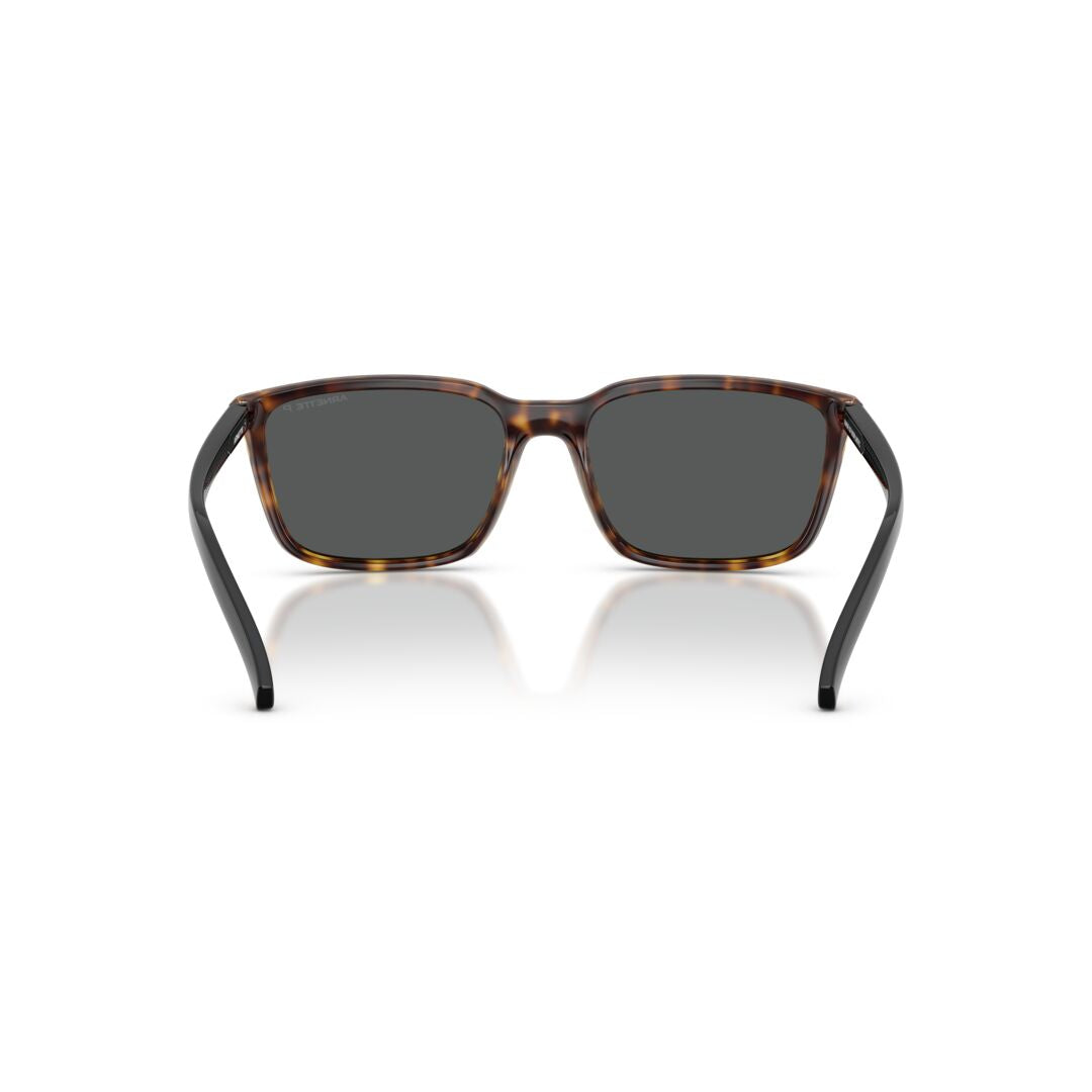 Gafas De Sol Arnette 0AN4311 Hombre Color Havana