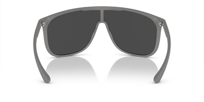 Gafas de Sol Armani Exchange 0AX4137SU Hombre Color Gris