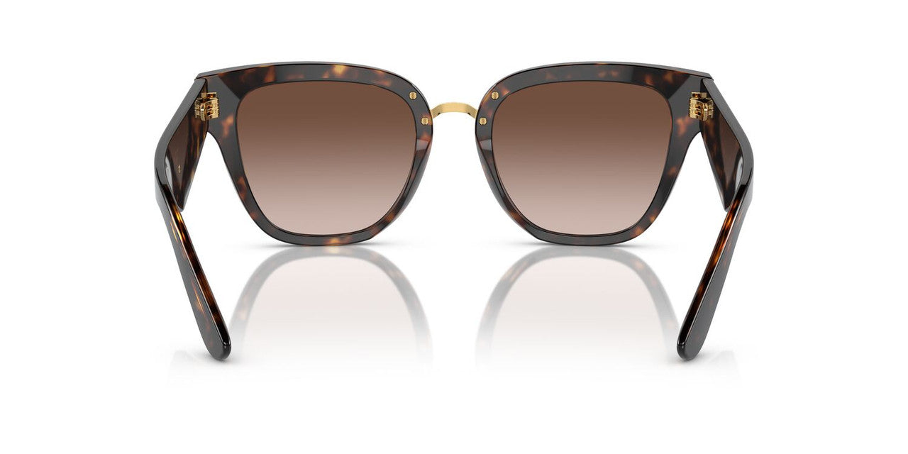Gafas de Sol Dolce Gabbana DG4437 Mujer Color Havana