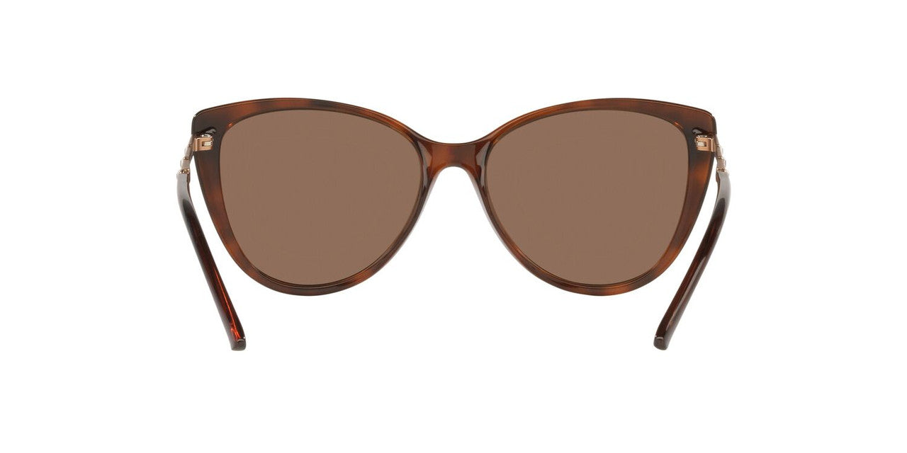 Gafas de Sol Jack Pacific JK1015BM Mujer Color Havana
