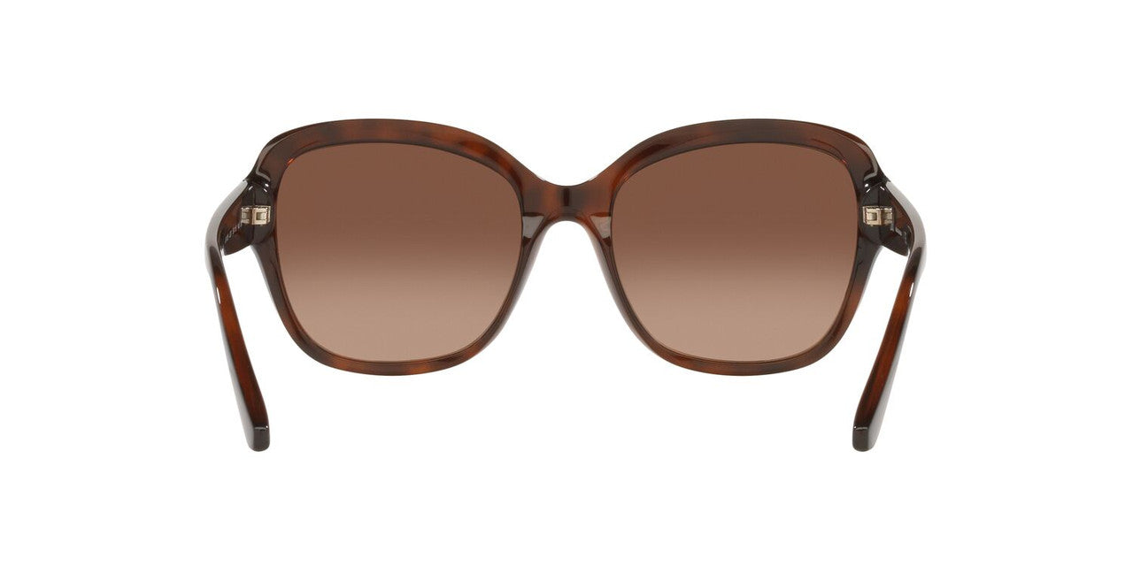 Gafas de Sol Jack Pacific JK1025M Mujer Color Havana