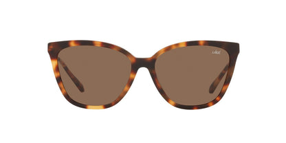 Gafas de Sol Jack Pacific JK6001M Mujer Color Havana