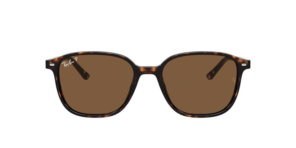 Gafas de Sol Ray-Ban 0RB2193 Unisex Color Café