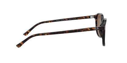 Gafas de Sol Ray-Ban 0RB2193 Unisex Color Café