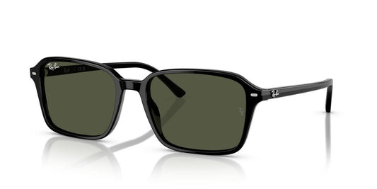 Gafas de Sol Ray-Ban RB2231 Unisex Color Negro