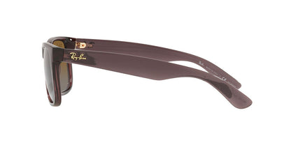 Gafas de Sol Ray-Ban 0RB4165 Hombre Color Café
