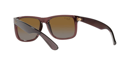 Gafas de Sol Ray-Ban 0RB4165 Hombre Color Café