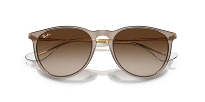 Gafas de Sol Ray-Ban 0RB4171 Mujer Color Marrón