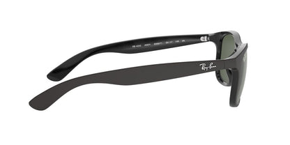 Gafas de Sol Ray-Ban 0RB4202 Hombre Color Negro