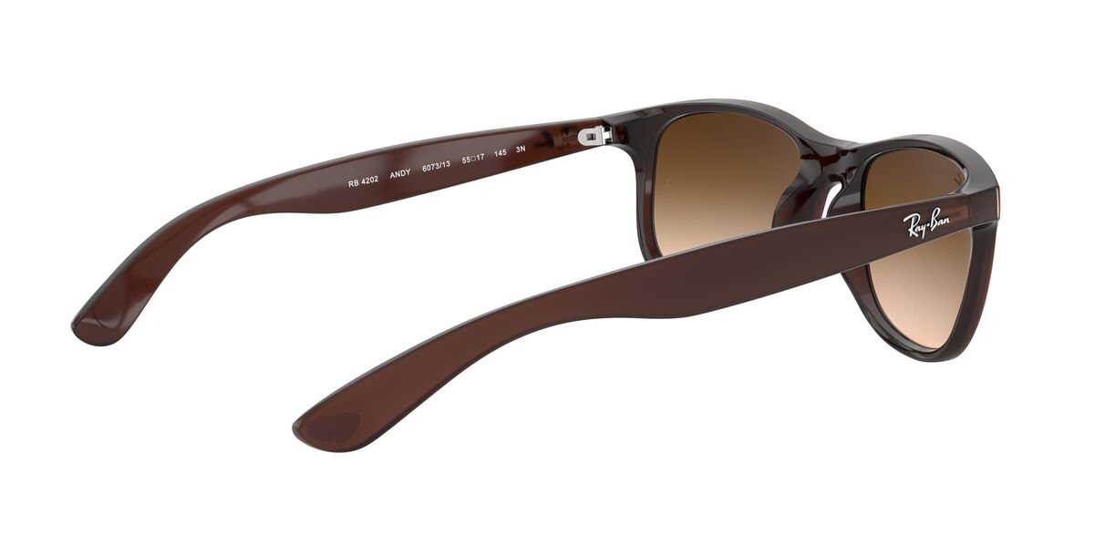 Gafas de Sol Ray-Ban 0RB4202 Hombre Color Café