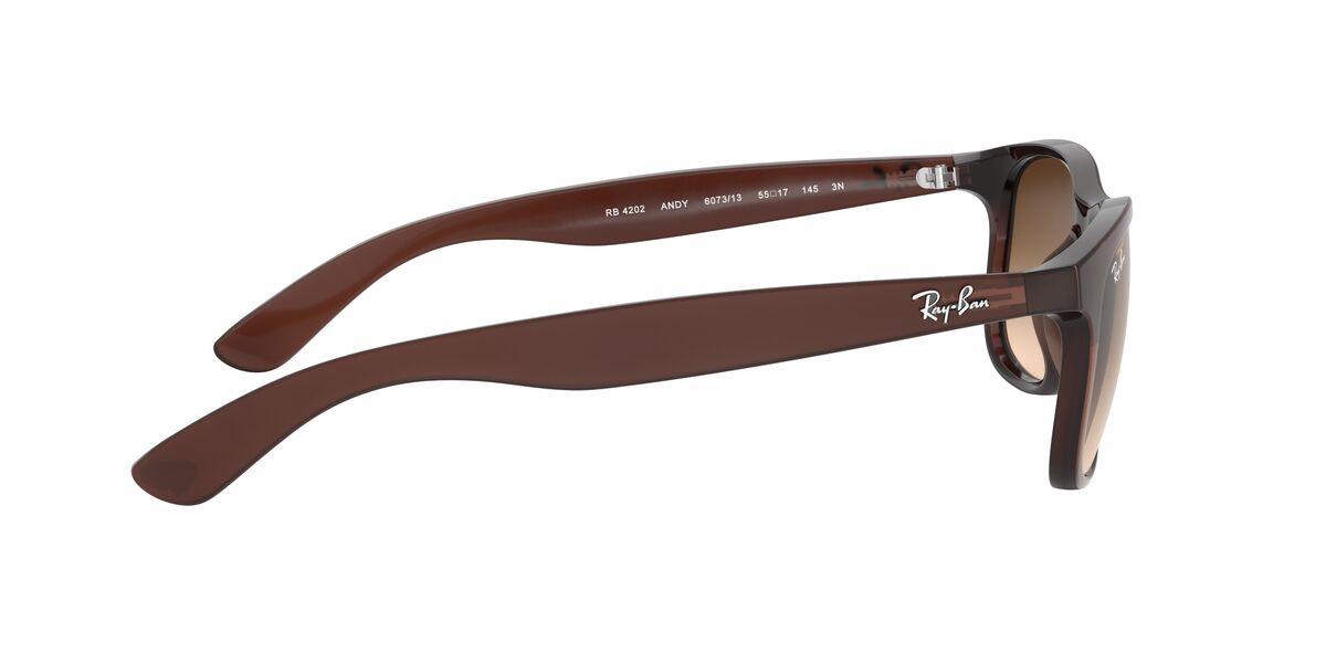 Gafas de Sol Ray-Ban 0RB4202 Hombre Color Café