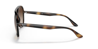 Gafas de Sol Ray-Ban 0RB4376 Unisex Color Havana