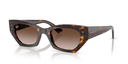Gafas de Sol Ray-Ban RB4430 Unisex Color Havana