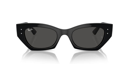 Gafas de Sol Ray-Ban RB4430 Unisex Color Negro
