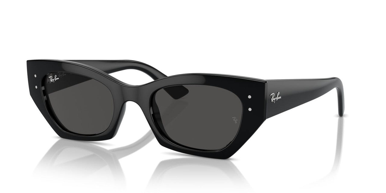Gafas de Sol Ray-Ban RB4430 Unisex Color Negro