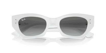 Gafas de Sol Ray-Ban RB4430 Unisex Color Blanco