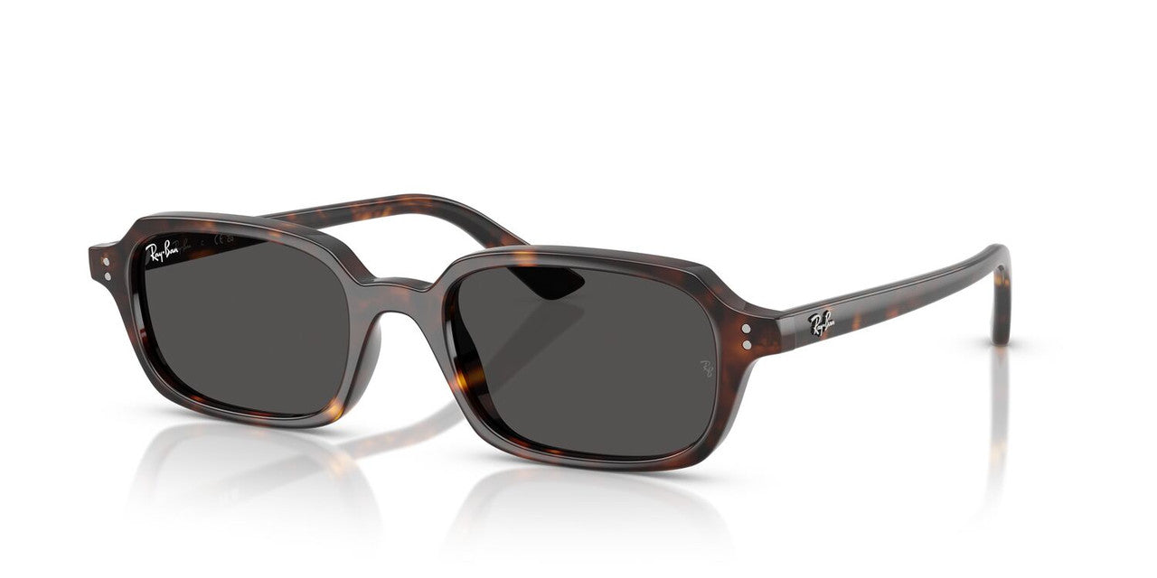 Gafas de Sol Ray-Ban RB4455 Unisex Color Havana