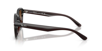 Gafas de Sol Ray-Ban RB4458D Unisex Color Café