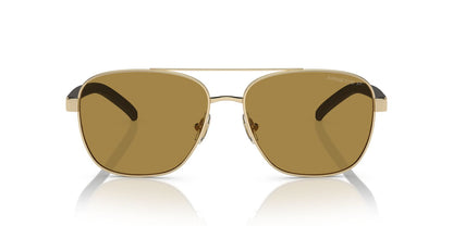 Gafas de Sol Arnette 0AN3087 Hombre Color Dorado