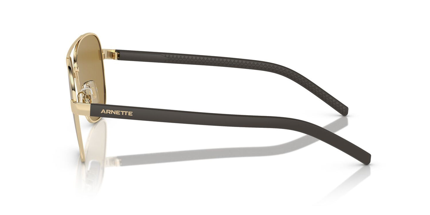 Gafas de Sol Arnette 0AN3087 Hombre Color Dorado