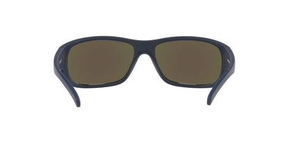 Gafas de Sol Arnette 0AN4290 Hombre Color Azul
