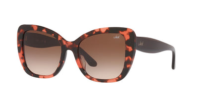 Gafas de Sol Jack Pacific 0JK6003U Mujer Color Havana