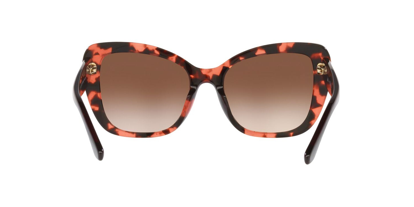Gafas de Sol Jack Pacific 0JK6003U Mujer Color Havana