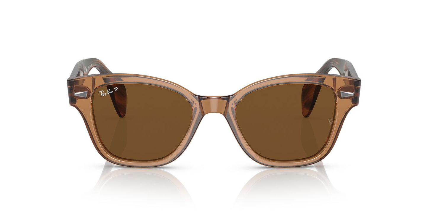 Gafas De Sol Ray-Ban 0RB0880S Unisex Color Café