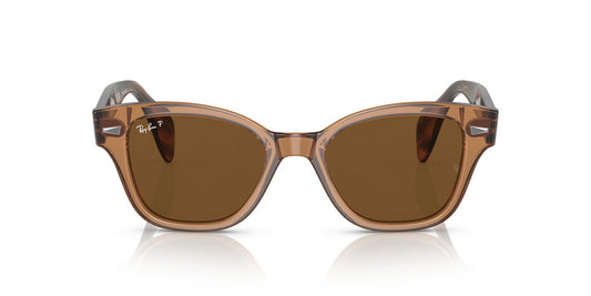 Gafas De Sol Ray-Ban 0RB0880S Unisex Color Café
