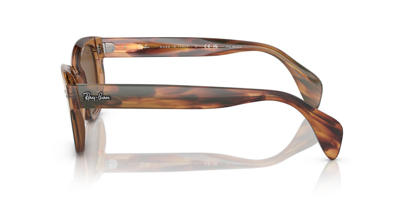 Gafas De Sol Ray-Ban 0RB0880S Unisex Color Café