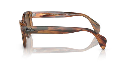 Gafas De Sol Ray-Ban 0RB0880S Unisex Color Café