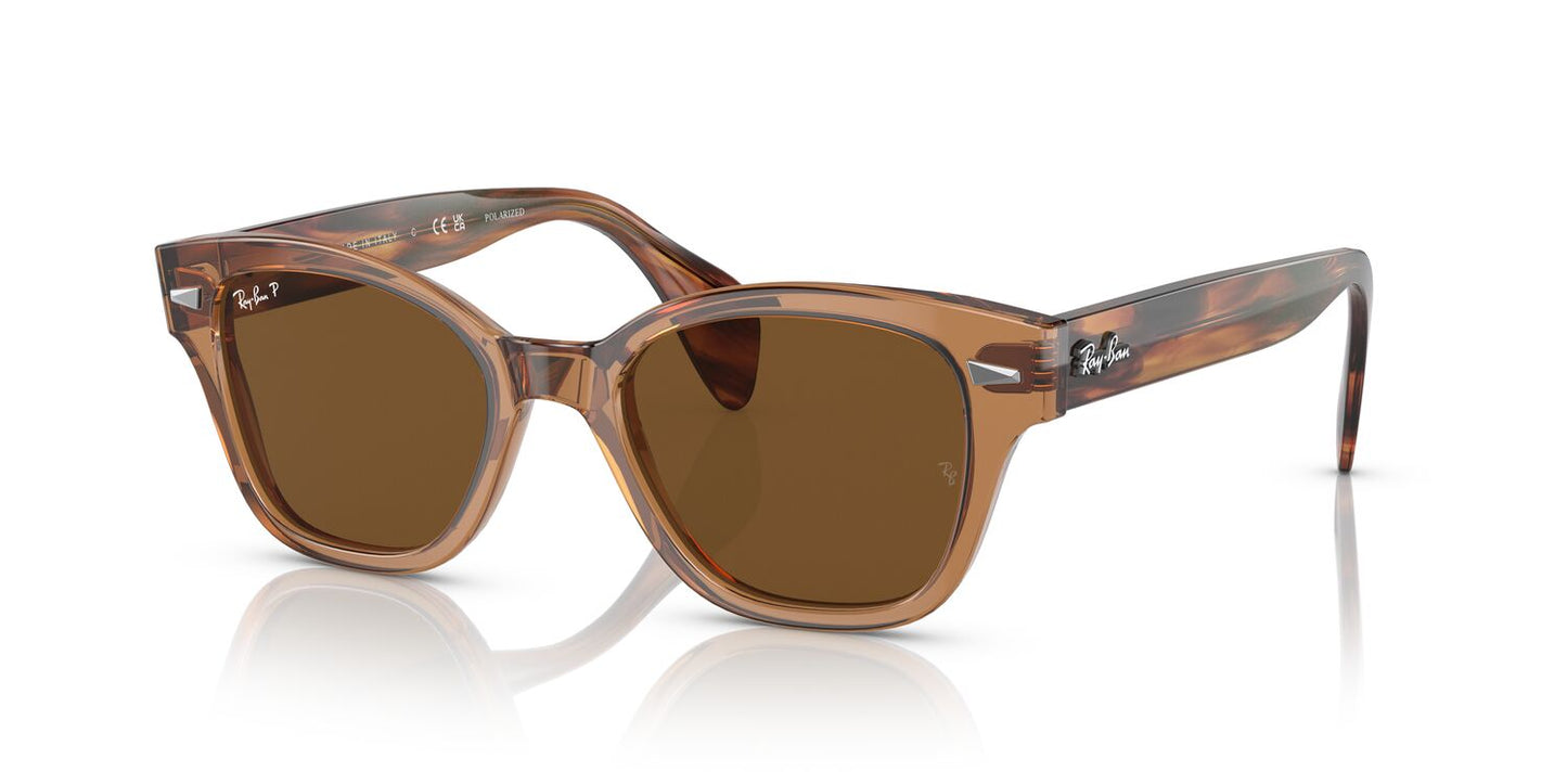 Gafas De Sol Ray-Ban 0RB0880S Unisex Color Café
