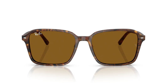 Gafas de Sol Ray-Ban RB2231 Unisex Color Café