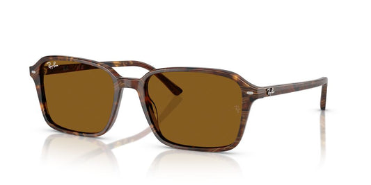 Gafas de Sol Ray-Ban RB2231 Unisex Color Café