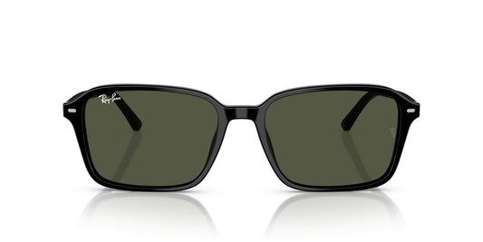 Gafas de Sol Ray-Ban RB2231 Unisex Color Negro