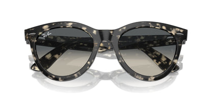 Gafas de Sol Ray-Ban RB2241 Unisex Color Gris