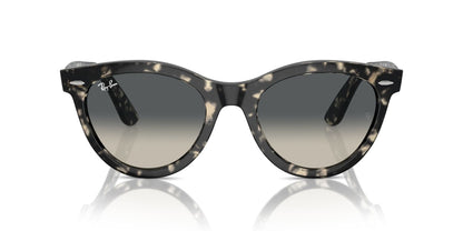 Gafas de Sol Ray-Ban RB2241 Unisex Color Gris