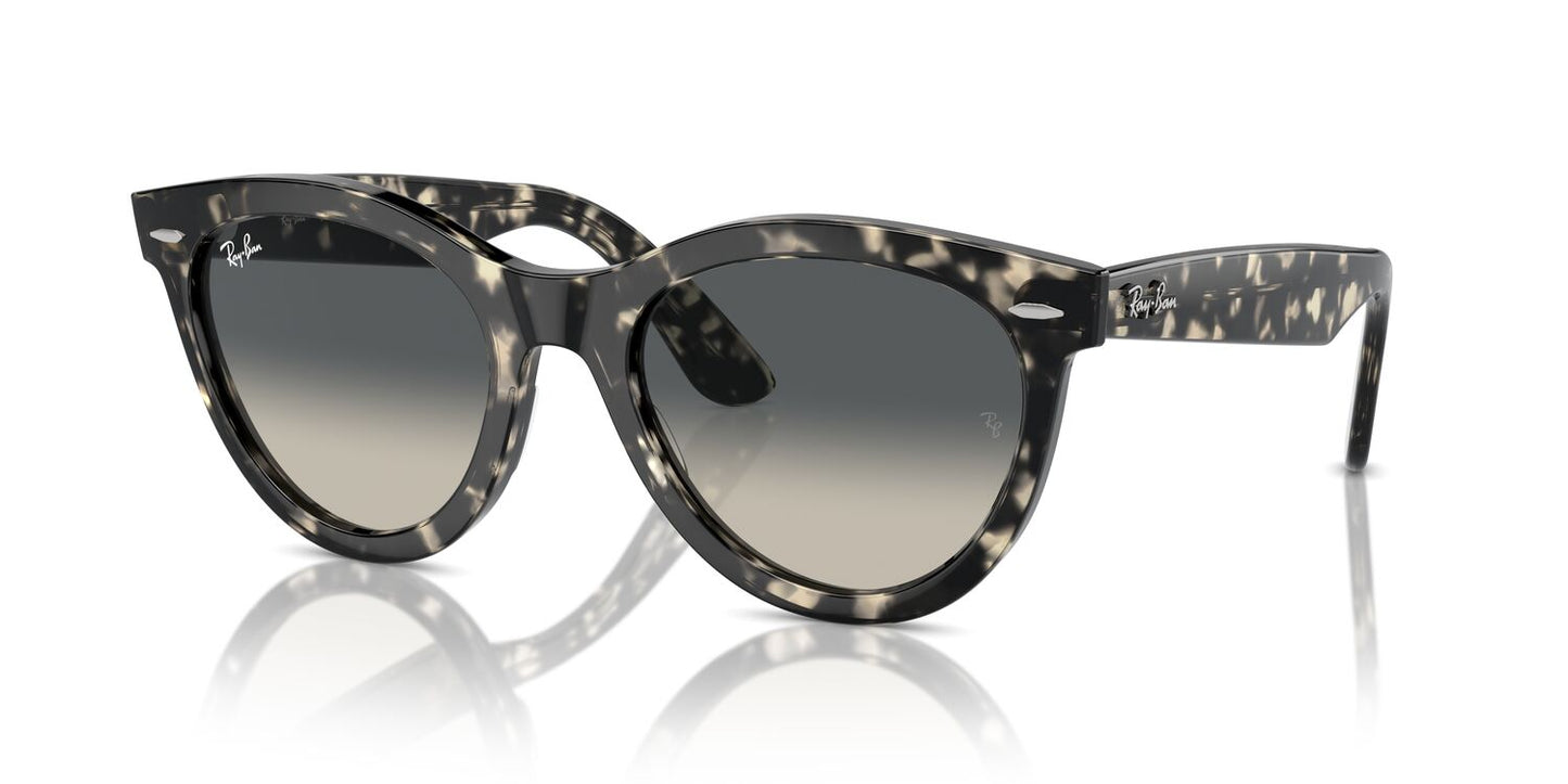 Gafas de Sol Ray-Ban RB2241 Unisex Color Gris