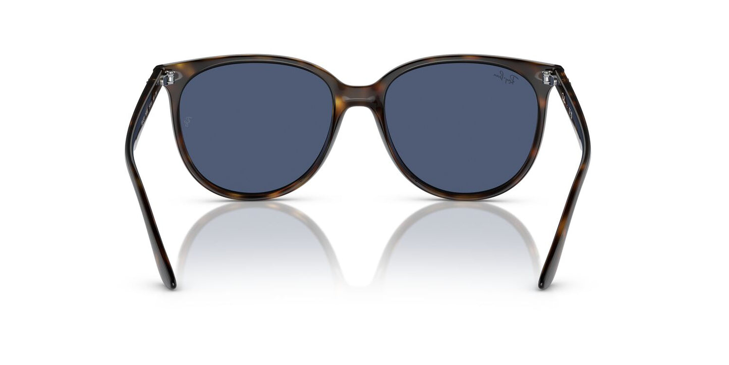 Gafas De Sol Ray-Ban 0RB4378 Mujer Color Havana