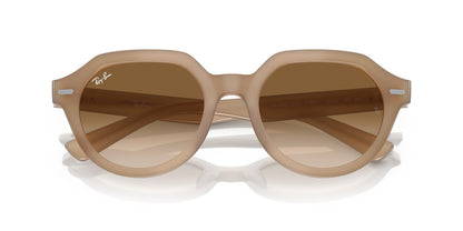 Gafas De Sol Ray-Ban 0RB4399 Unisex Color Café