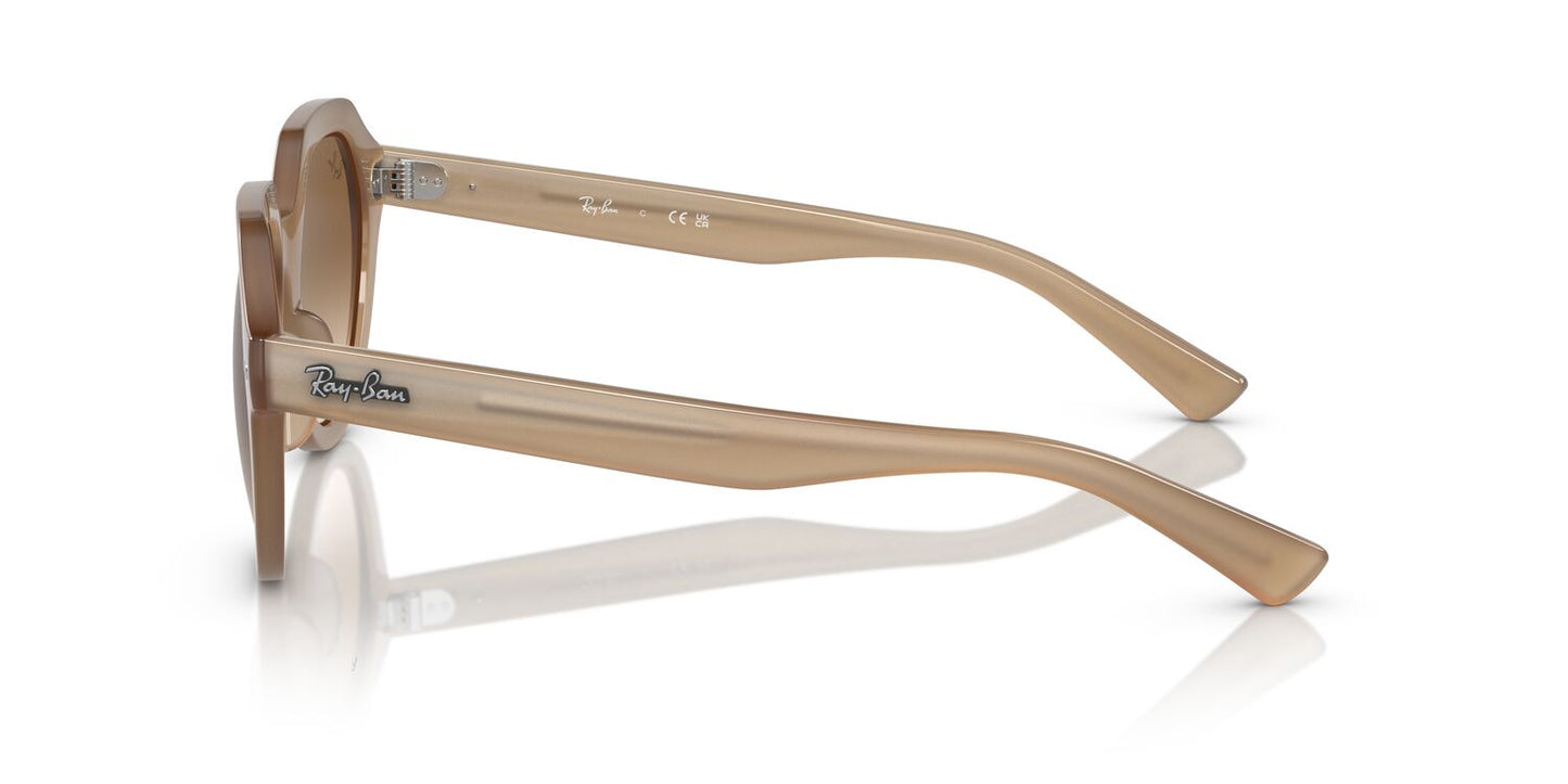 Gafas De Sol Ray-Ban 0RB4399 Unisex Color Café