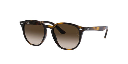 Gafas de Sol Ray-Ban Jr. 0RJ9070S Niño Color Havana