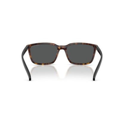 Gafas De Sol Arnette 0AN4311 Hombre Color Havana