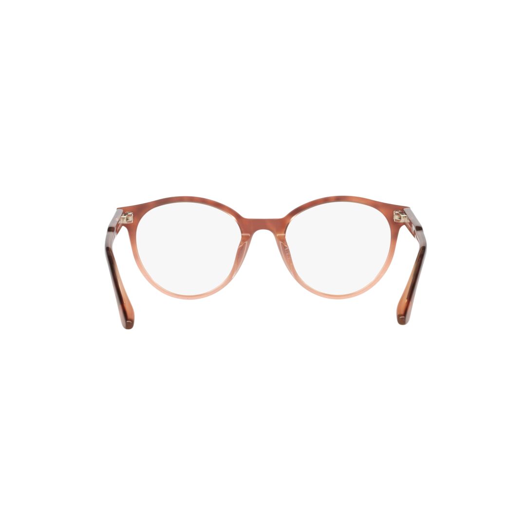 Gafas Oftálmicas Jack Pacific 0JK5009U Unisex Color Café