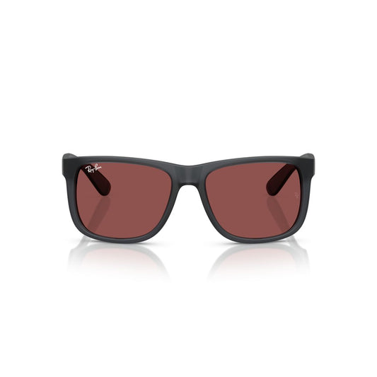 Gafas de Sol Ray-Ban RB4165 Hombre Color Gris