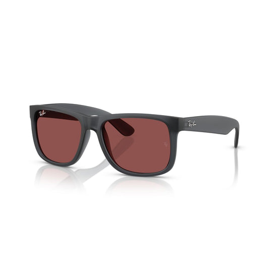 Gafas de Sol Ray-Ban RB4165 Hombre Color Gris