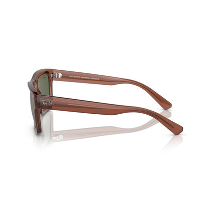 Gafas De Sol Ray-Ban 0RB4396 Unisex Color Café